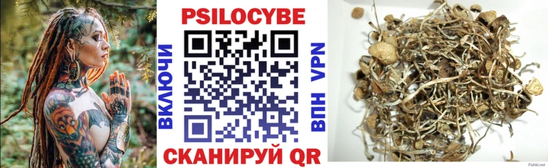 Псилоцибиновые грибы Cubensis  Пестово 
