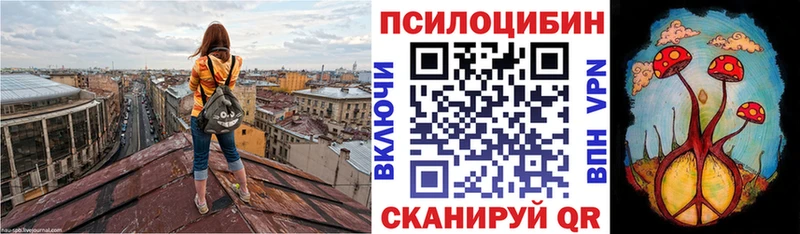 Псилоцибиновые грибы GOLDEN TEACHER Пестово
